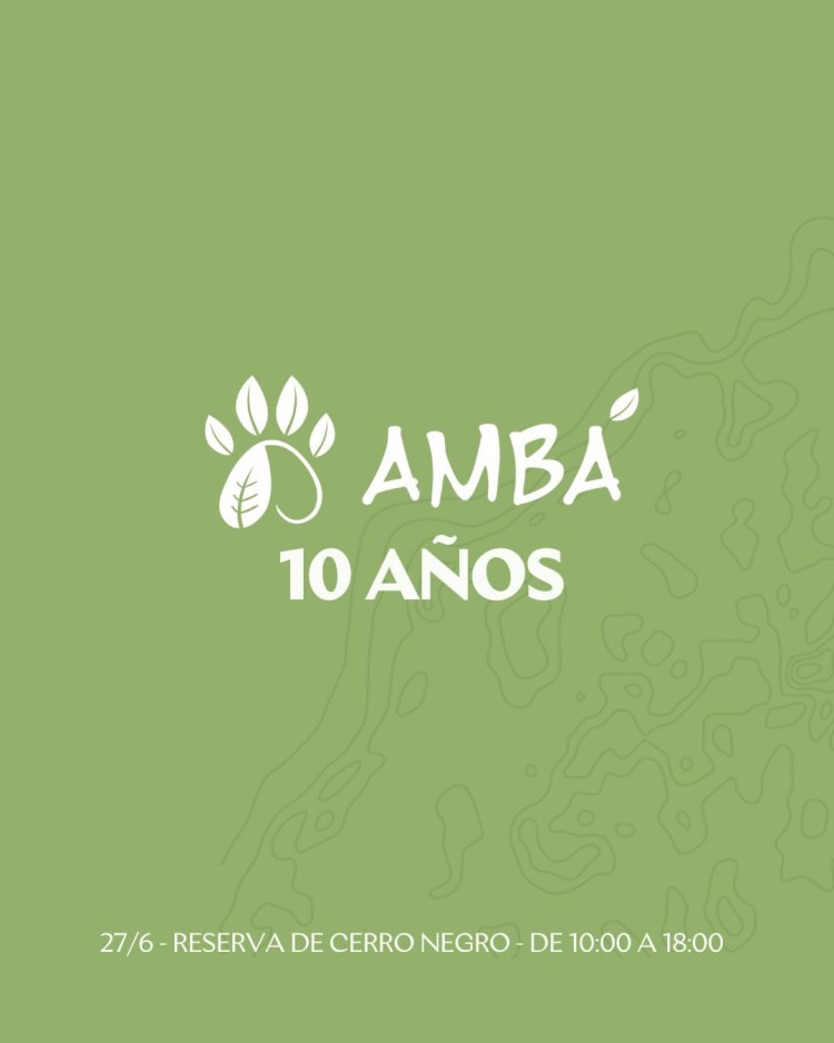 Diez a&ntilde;os sembrando naturaleza: AMB&Aacute; celebra su historia en las sierras de Rocha