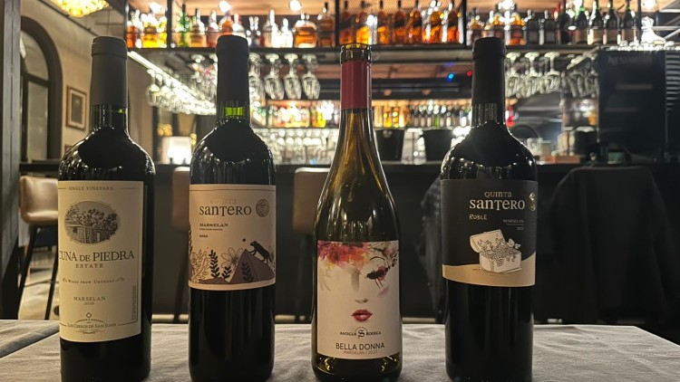 Catas con identidad: el Marselan reuni&oacute; bodegas y p&uacute;blico en el Distrito El Globo