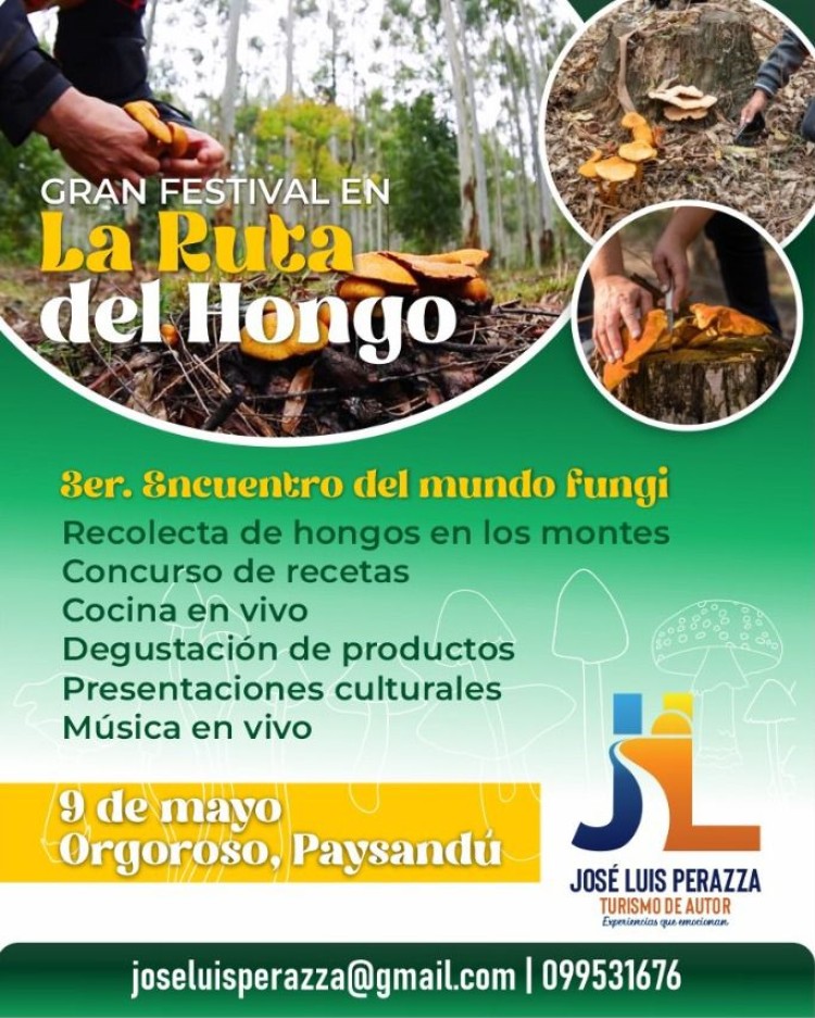 Ruta del Hongo: el modelo productivo y tur&iacute;stico que supera los US$ 4,4 millones en Uruguay