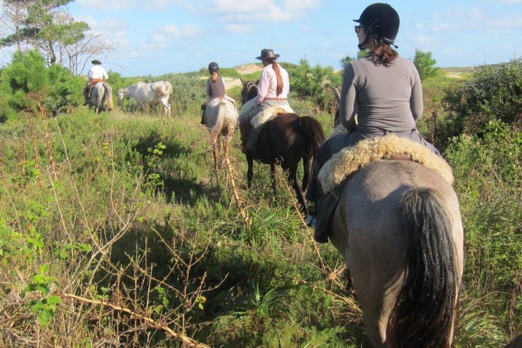 Uruguay apuesta al turismo regenerativo como modelo de futuro